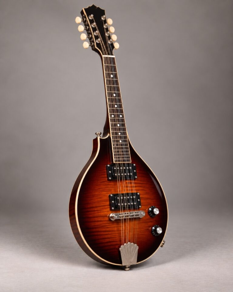 Moderne Elektro-Mandoline mit magnetischen Tonabnehmern (Humbucker), Reglern und geflammter Ahorndecke