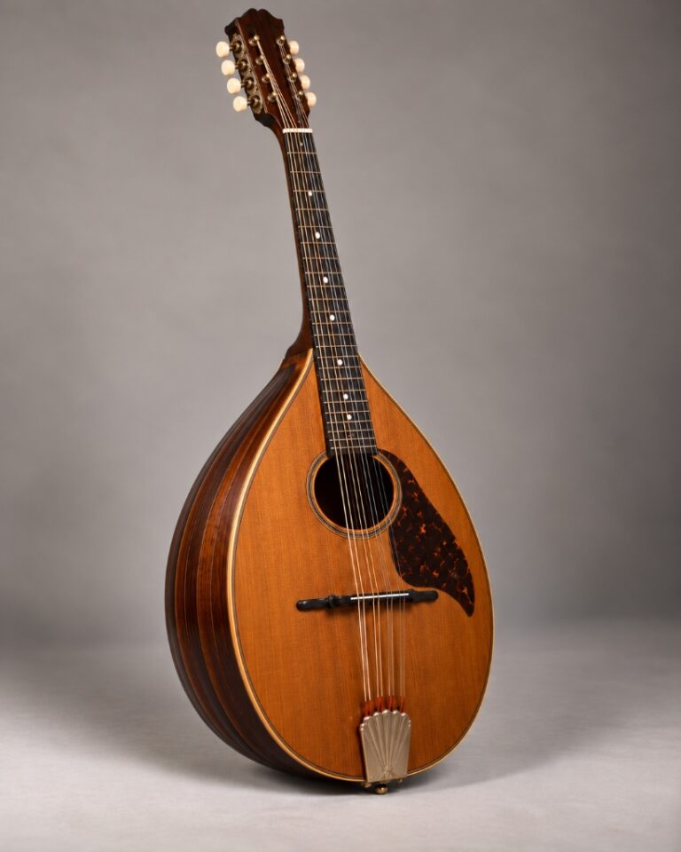Traditionelles Mandocello mit großem Resonanzkorpus, ovalem Schallloch und doppelter Saitenbespannung