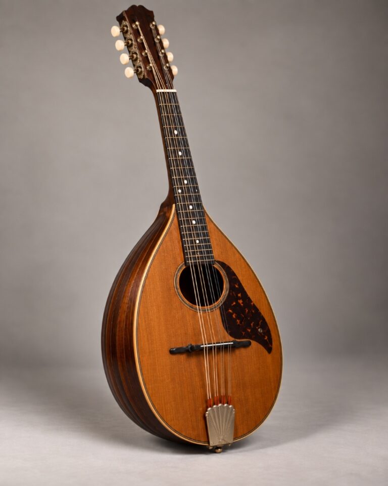 Klassische Mandola mit vergrößertem Zargenkorpus und edlem Ahornboden in Quintstimmung C-G-D-A